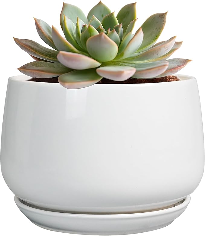 G EPGardening Ceramic Pots for Plants by GEPGardening