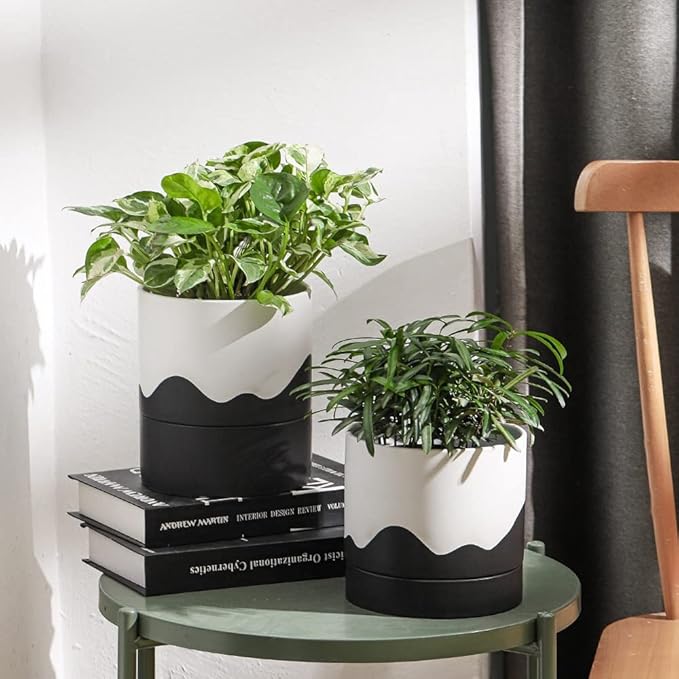 Nihow Ceramic Plant Pot: 6 Inch Planter - Image 4