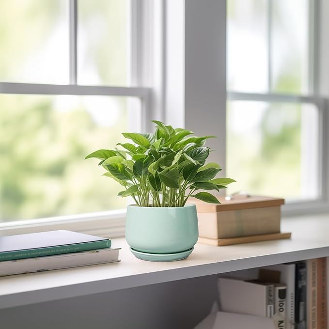G EPGardening Ceramic Plants Pots - Image 6