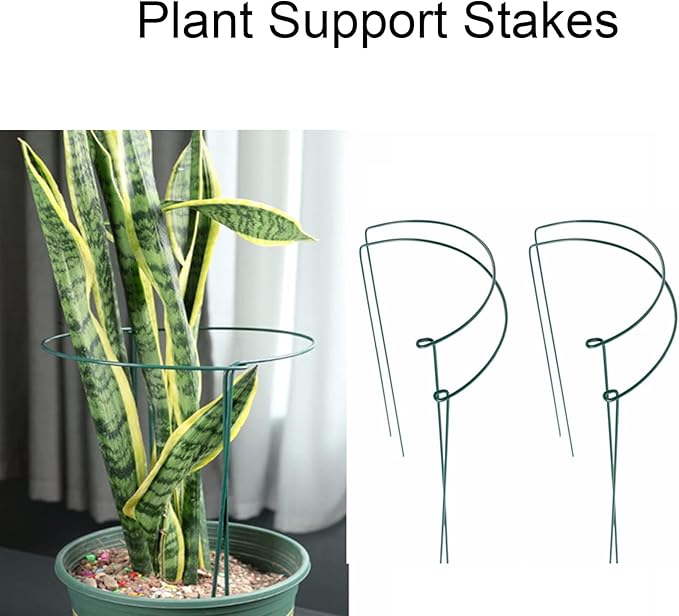 Plant Support Stakes - Image 4