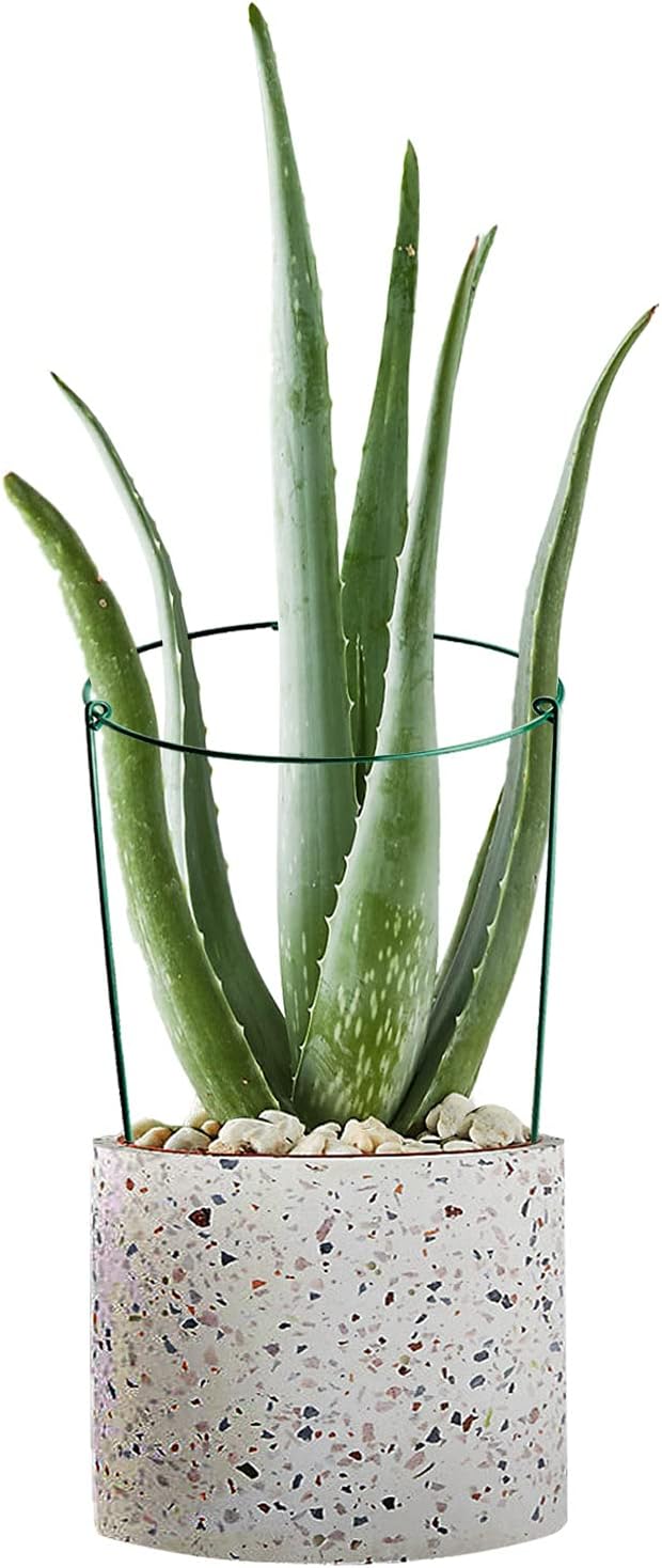 HiGift 3 Pack Peony Cages Support Stakes Ring - Image 8