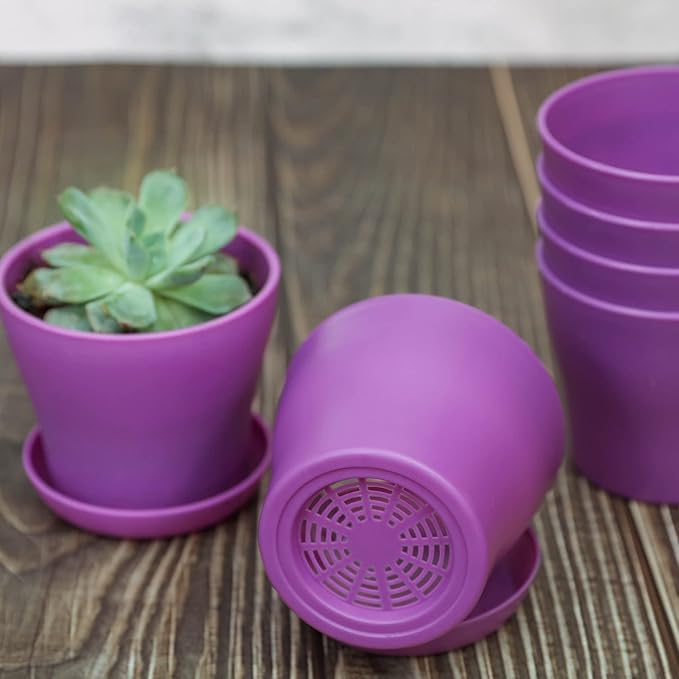TDHDIKE 10 Pcs Plastic Planters Indoor Flower Plant Pots, Mini Flower Seedlings - Image 3