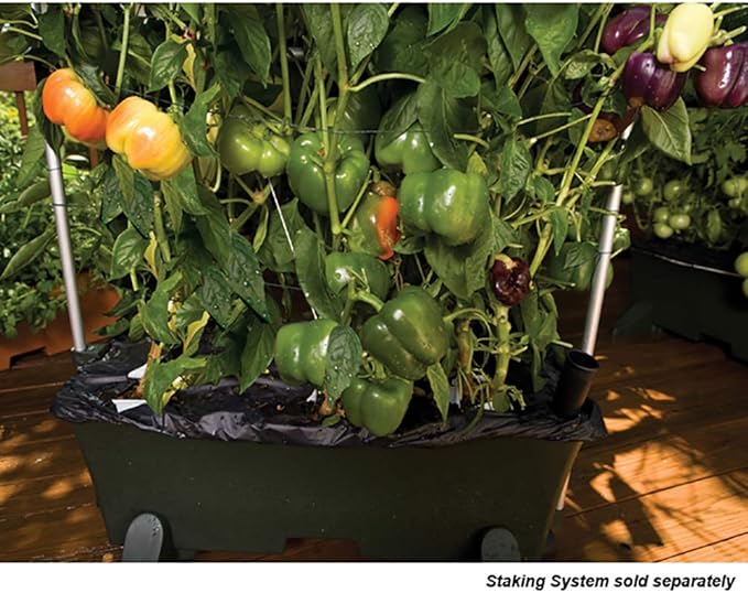 EarthBox 80151 Garden Kit - Image 11