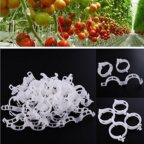 KINGLAKE Plant Support Garden Clips, Tomato Vine Clips, Tomato Trellis Clips - Image 4