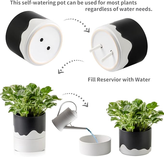 Nihow Self Watering Plant Pot: 6 Inch Ceramic Planter - Image 3