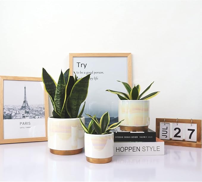 Gepege White Indoor Pots for Plants, Ceramic Planter - Image 4