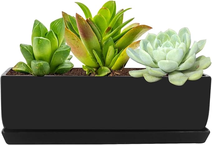 Vencer 14 Inch Rectangular Modern Minimalist Ceramic Succulent Planter Pot - Image 2