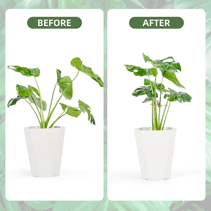 6PCS Iron Monstera Plant Support, Uniquely Designed Indoor Plant Accessories - Image 3