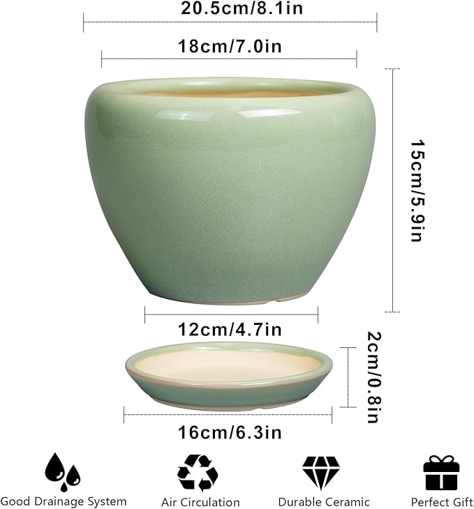 8 Inch Plant Pot - Image 3