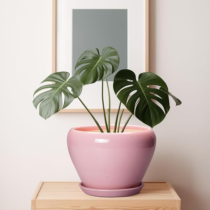 10 Inch Plant Pot - Image 7