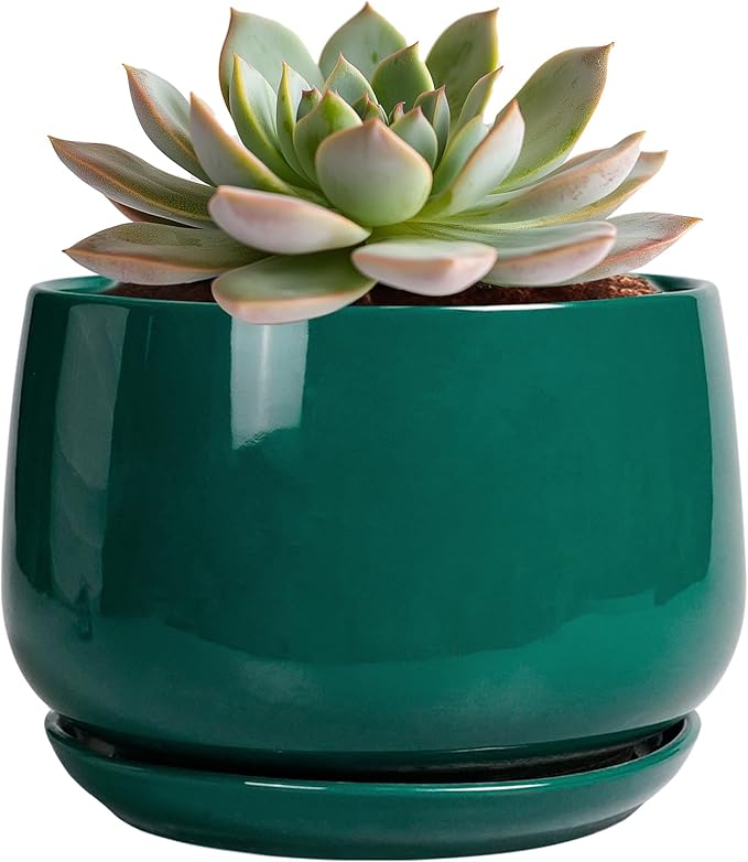 G EPGardening 6 Inch Plant Pot by GEPGardening