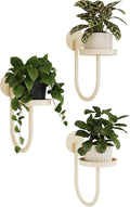 Bamworld Wall Plant Holder Wall Planters by Bamworld