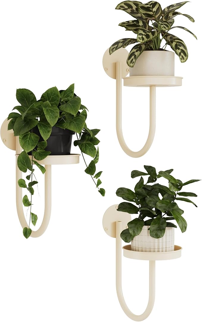 Bamworld Wall Plant Holder Wall Planters by Bamworld