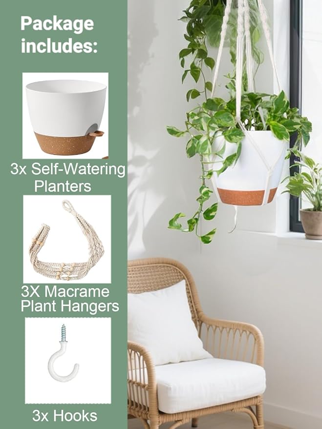 Set of 3 Hanging Planters for Indoor Plants - Image 5