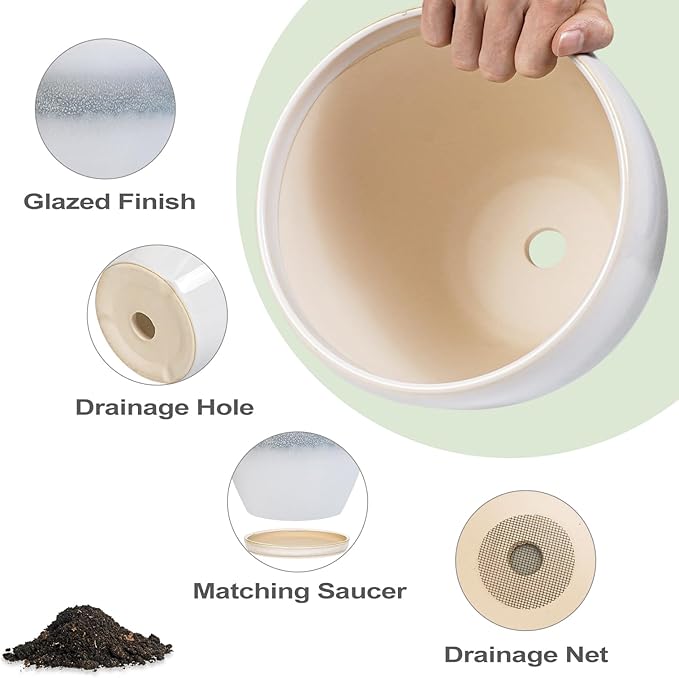 Ceramic Pots for Plants - Image 6