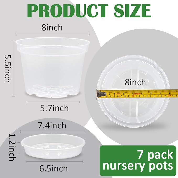 7 Pack 8 Inch Clear Nursery Pots - Image 2