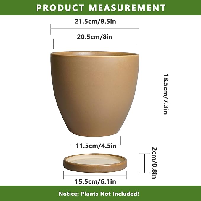 Ceramic Pots for Plants - Image 3