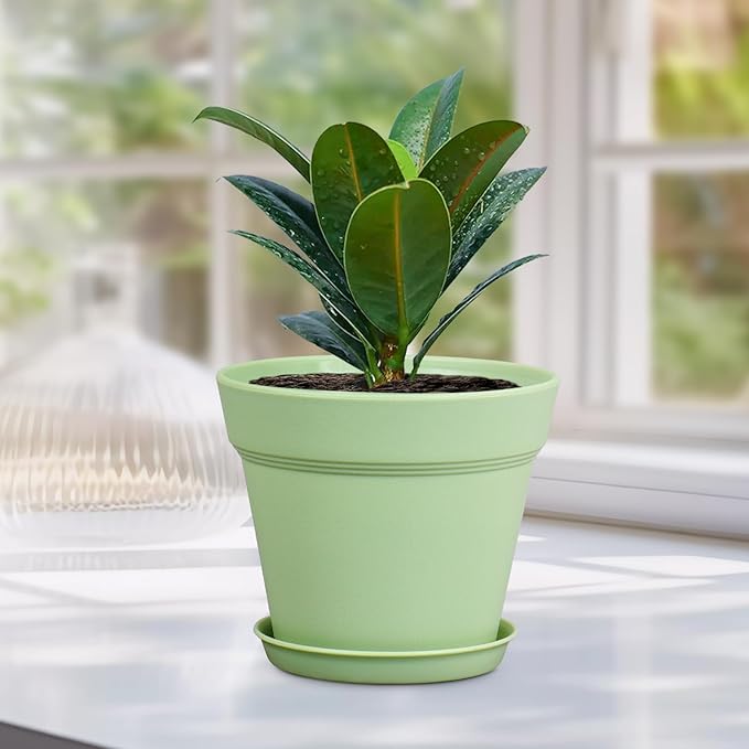 6 inch Plastic Nursery Pots, 16 Pack Plant Pots - Image 6