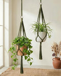 Bamworld Macrame Plant Hanger Indoor Hanging Planter by Bamworld