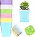 OJYUDD 24 Pack Multi Color Plastic Plant Pot, Colorful Plastic Square Pots by OJYUDD