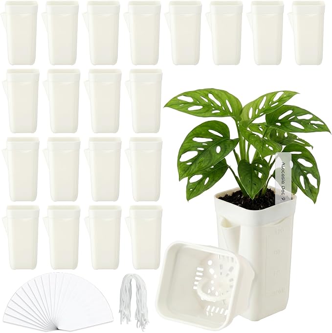 LemonRoad 20 Pack 2" Small Self Watering Pots by Unknown
