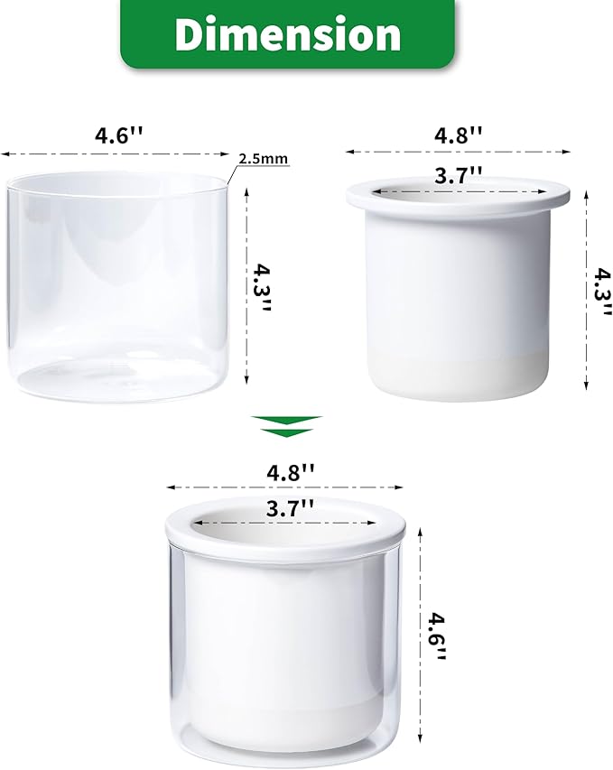 Phoenix Vine 4 Inch Self Watering Planter Pot, Design White Terracotta Pots - Image 4