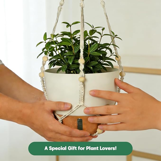 Self-Watering Hanging Planters for Indoor Plants Set 2-Piece Includes Plant - Image 6