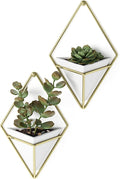 Umbra Trigg Hanging Planter Vase Wall Decor, Faux Plants, and More by Umbra