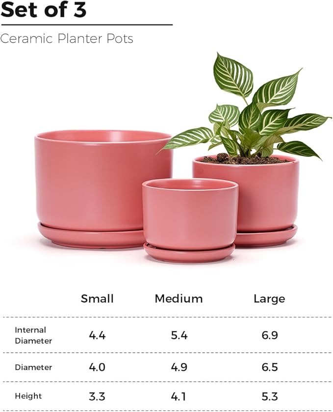 Ton Sin Ceramic Plant Pot with Drainage Hole and Saucer - Image 3
