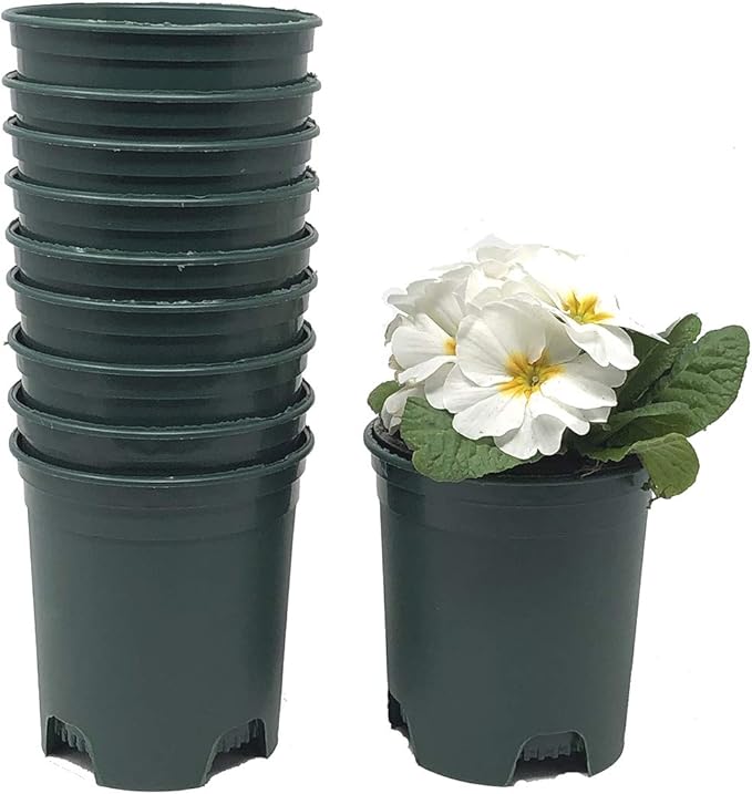 Wholesale Bulk Nursery Pot 4 Inch Green Plastic Planters 30-Pack 0.25 Gallon by CottaPlanters