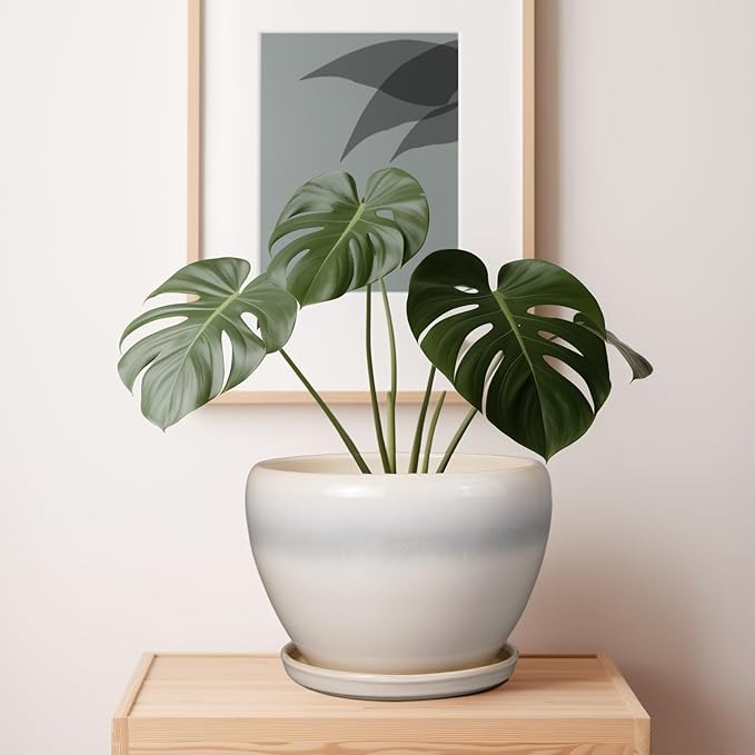10 Inch Ceramic Planter Pot - Image 4