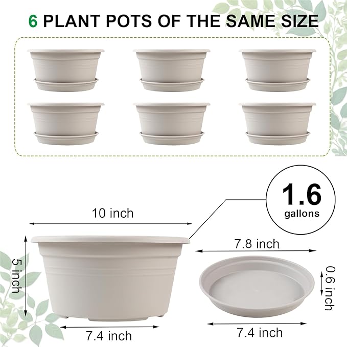 6 Pack 10 inch Plant Pot, Outdoor Pots - Image 2