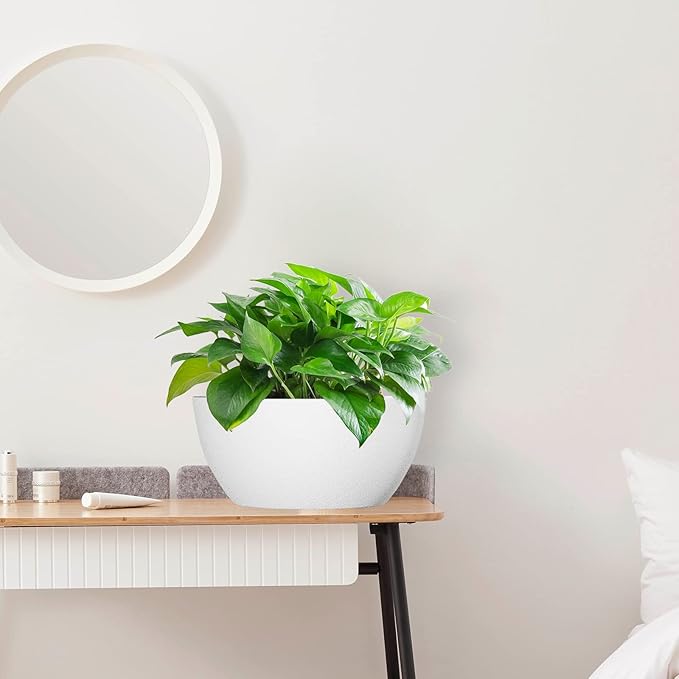 10 inch Hanging Planters for Outdoor Indoor Plants - Image 7