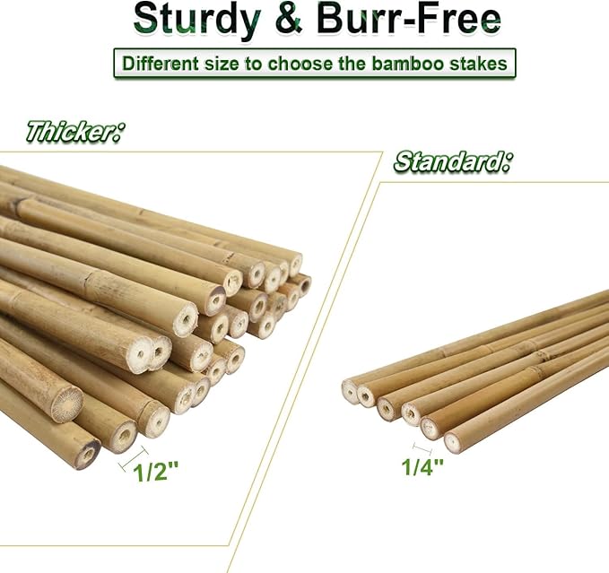 30pcs 3/10" D Thicker Heavy Duty Bamboo Stakes, 2FT Plant Stakes, Natural - Image 5