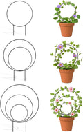 3 Pcs Different Sizes Metal Hoya Trellis, Small Round Indoor Plant Trellis by Whtawtaw