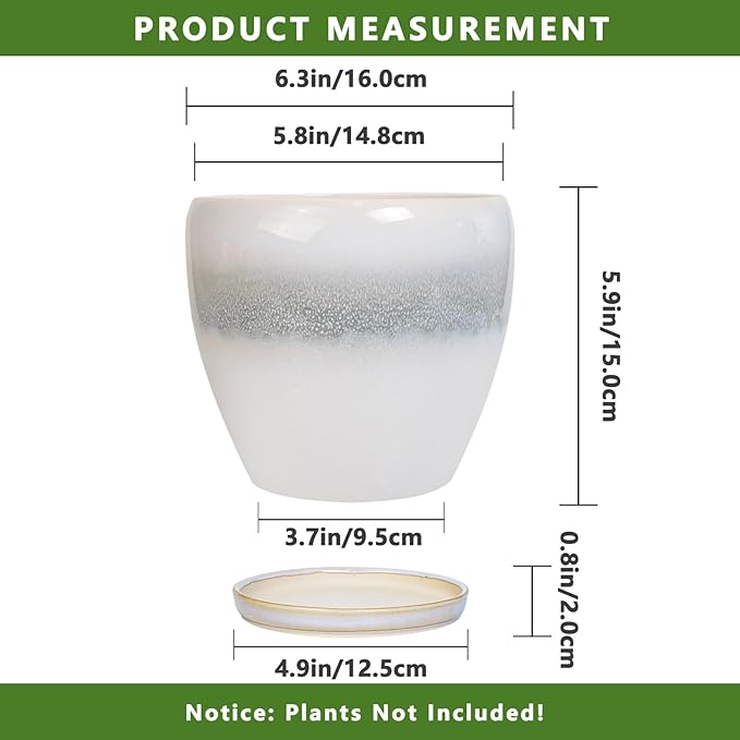 6.3 Inch Plant Pot - Image 3