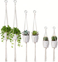 6 Pack Macrame Plant Hanger, Indoor Hanging Plants Holder, 3 Sizes 39"/31"/23" by XnxnzhHo