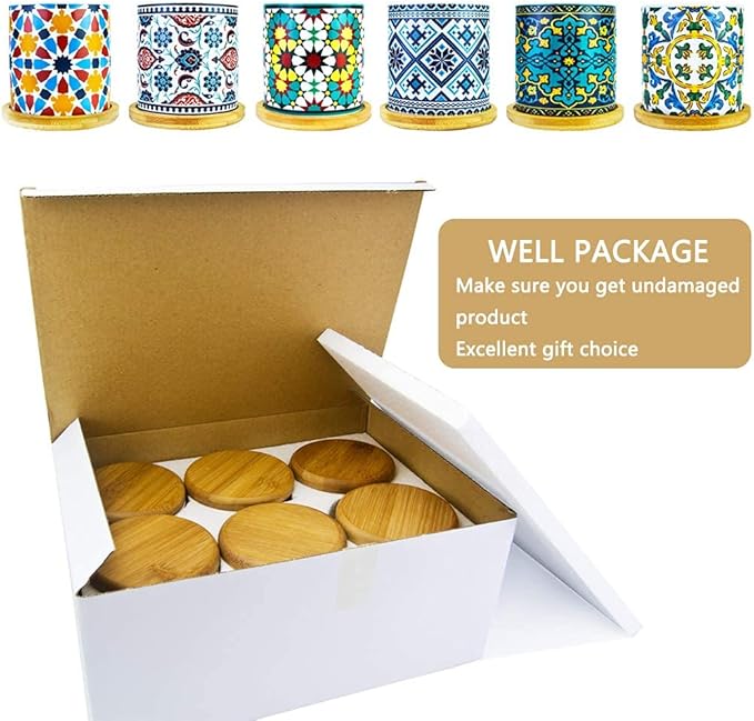 6 Pack Mandala Succulent Plant Pot - Image 6