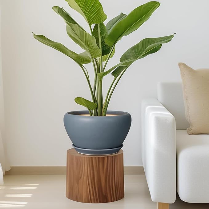 Ceramic Plant Pot - Image 7