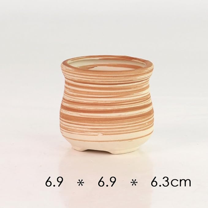 Sun-E 6 in Set 7.6 cm Ceramic Wooden Pattern Succulent Plant Pot Cactus Plant - Image 5