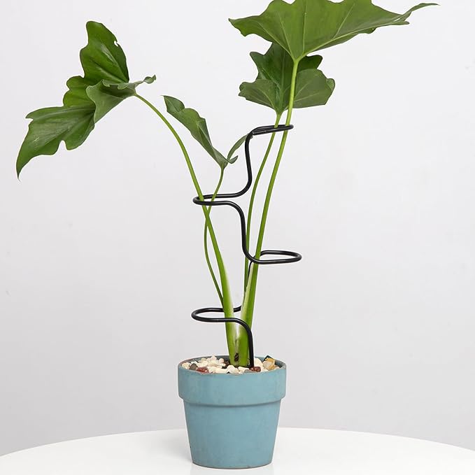3PCS Indoor Plant Support Stakes by Goooxim