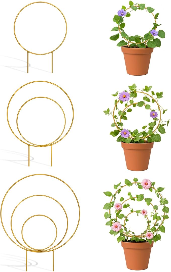 3 Pack Premium Round Plant Trellis Indoor, Small Metal Plant Support Stake by Whtawtaw