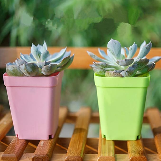 Haawooky 24 Pack Colorful Flower Pots Square Plastic Plant Pots Succulent - Image 7