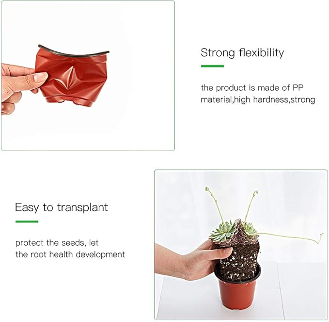 JERIA 100-Pack 4 Inch Plastic Plant Nursery Pots Come - Image 5