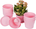TDHDIKE 10 Pcs Plastic Planters Indoor Flower Plant Pots, Mini Flower Seedlings by TDHDIKE