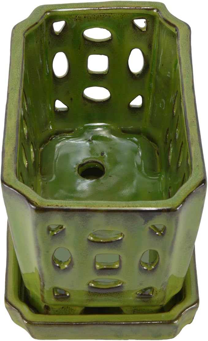 W&W Orchid Pot with Holes and Saucer - Image 4