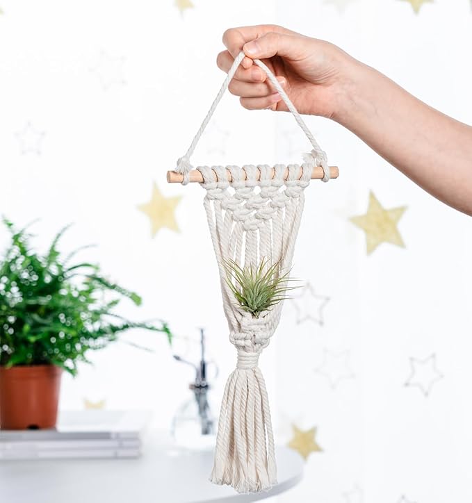 Melphoe 4 Pack Air Plants Holders Stand Air Fern Macrame Plant Hanger Indoor - Image 6