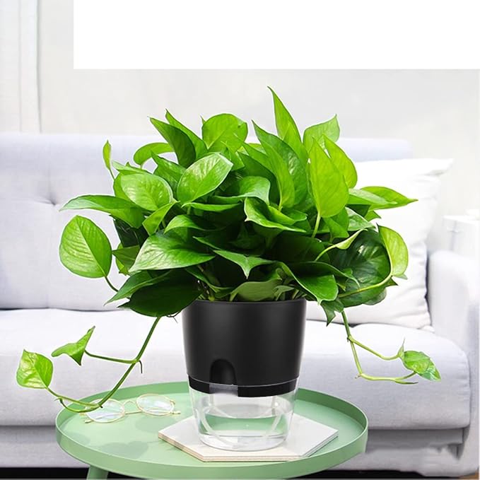 Vanavazon 6 Inch Self Watering Planter Pots - Image 3
