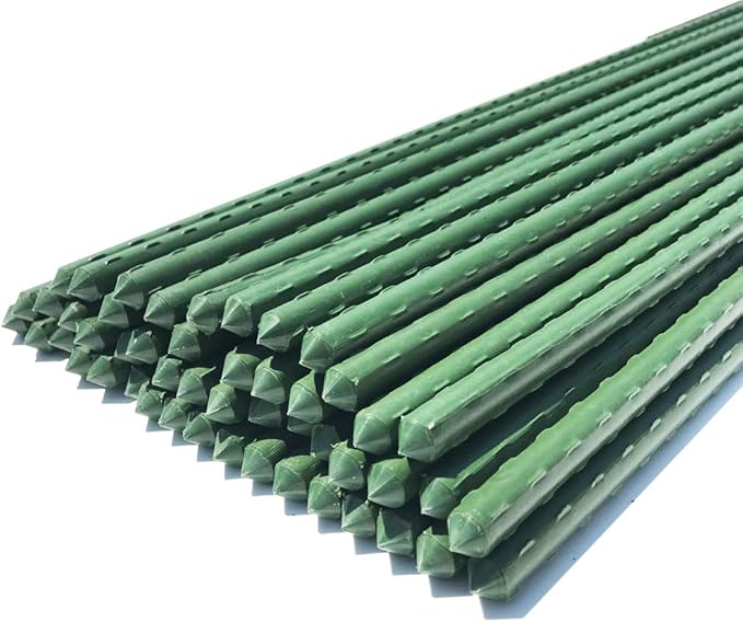 WAENLIR Garden Stakes 60 inch 5ft Sturdy Tomato Stakes, Plant Stakes by WAENLIR