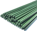 WAENLIR Garden Stakes 57 inch 4.8ft Sturdy Tomato Stakes, Plant Stakes by WAENLIR